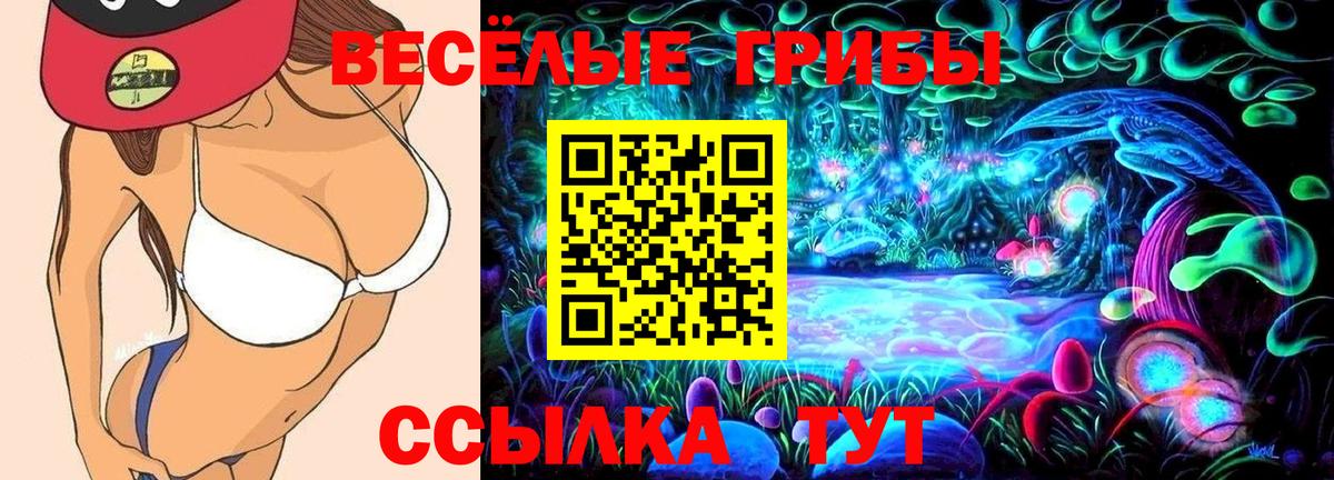 Псилоцибиновые грибы Cubensis  Вход с VPN  Ачинск  Галлюциногенные грибы Psilocybine cubensis 